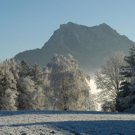 Hotel Altmunsterhof Экстерьер фото